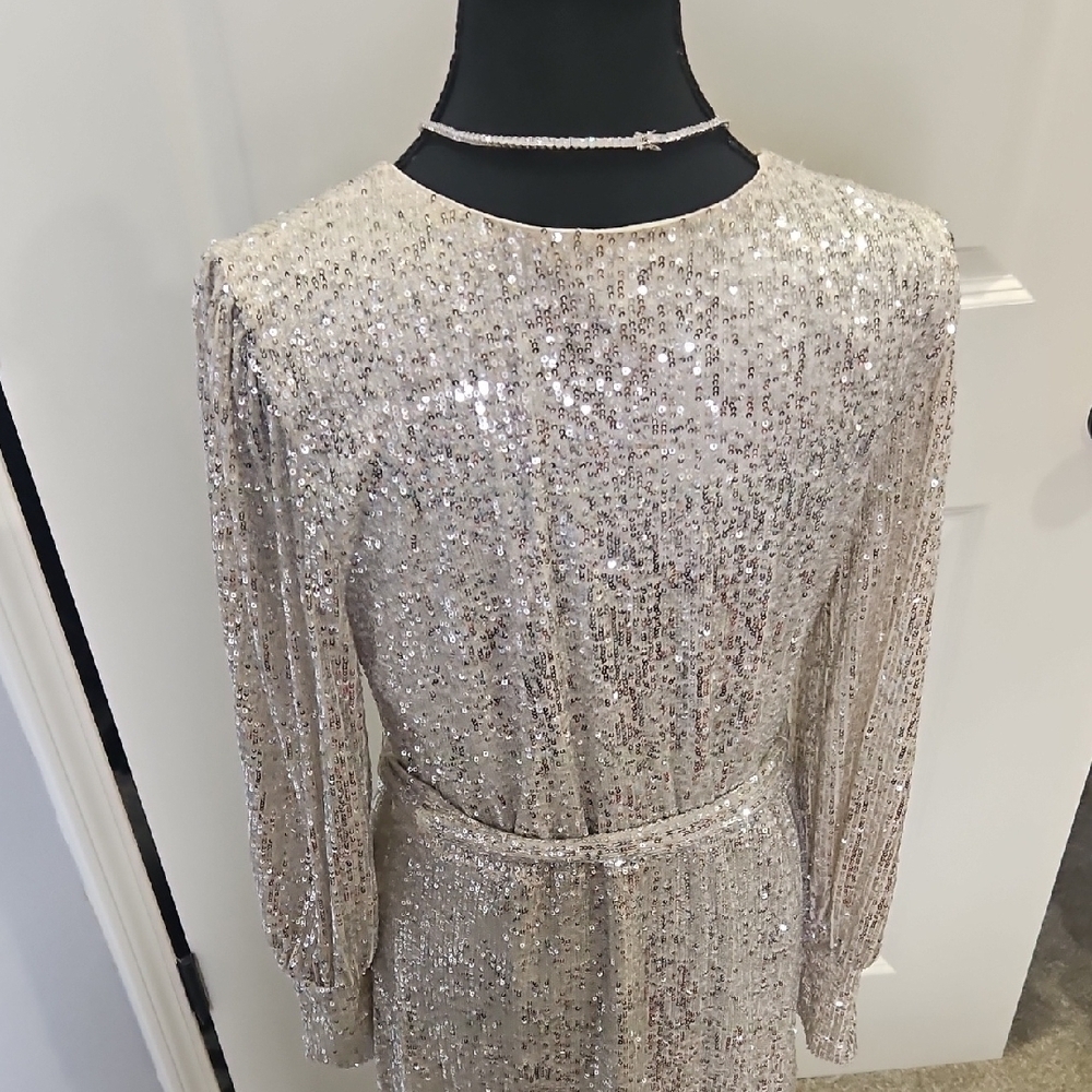 Gianni Bini Silver Sparkle Date Night Girls Night Fabulous Dress - Picture 9 of 12